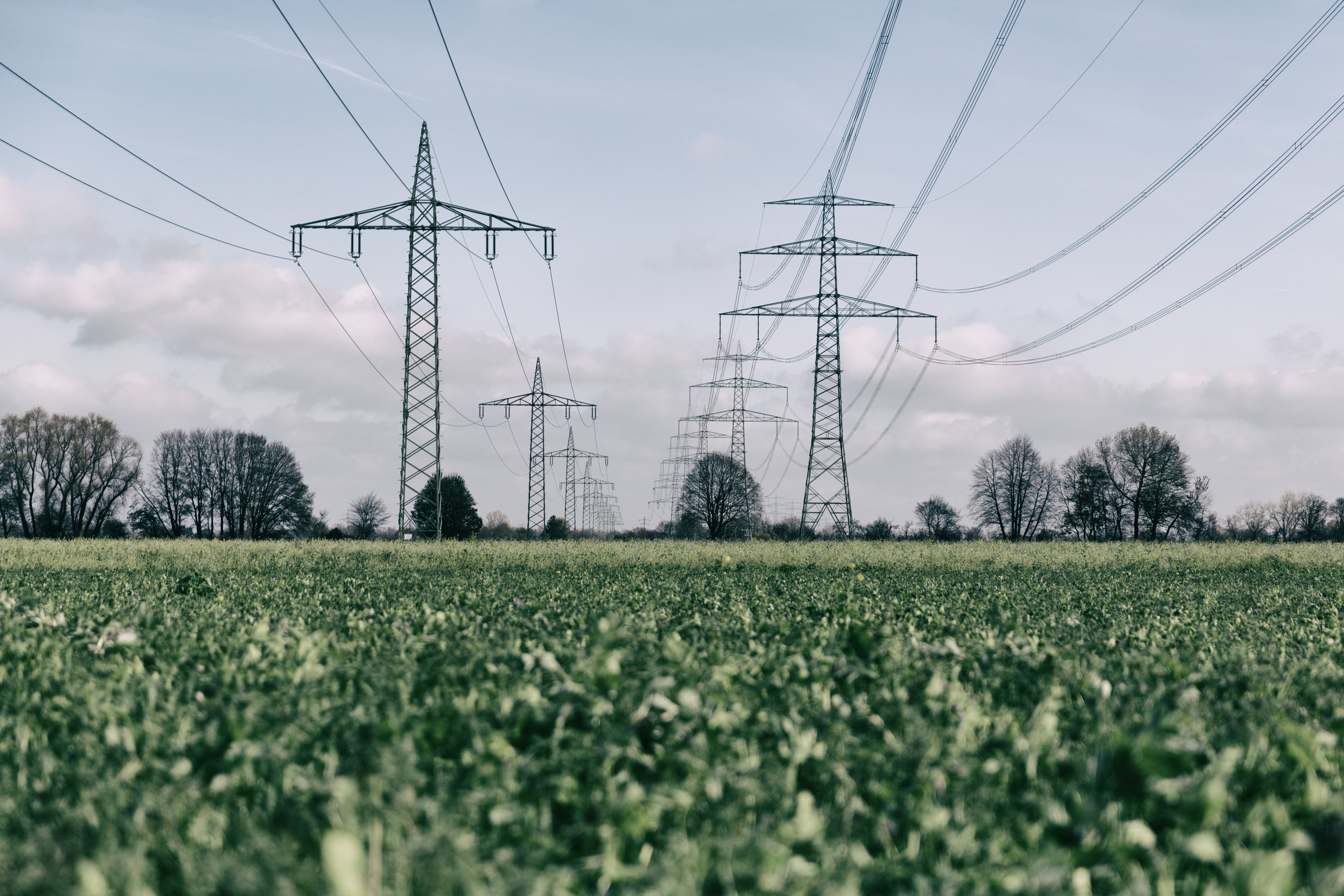 power pylons on green field 2