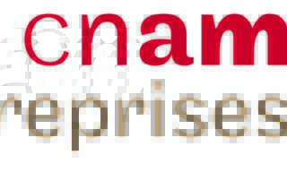 le_cnam_entreprises_logo
