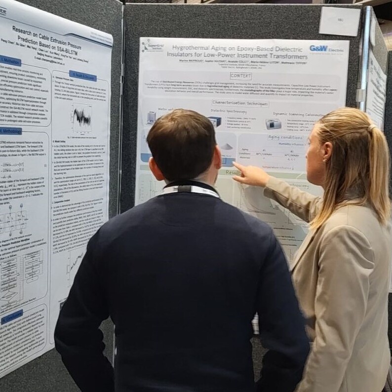 Marine Moyroud presenting her paper at CEIDP conference